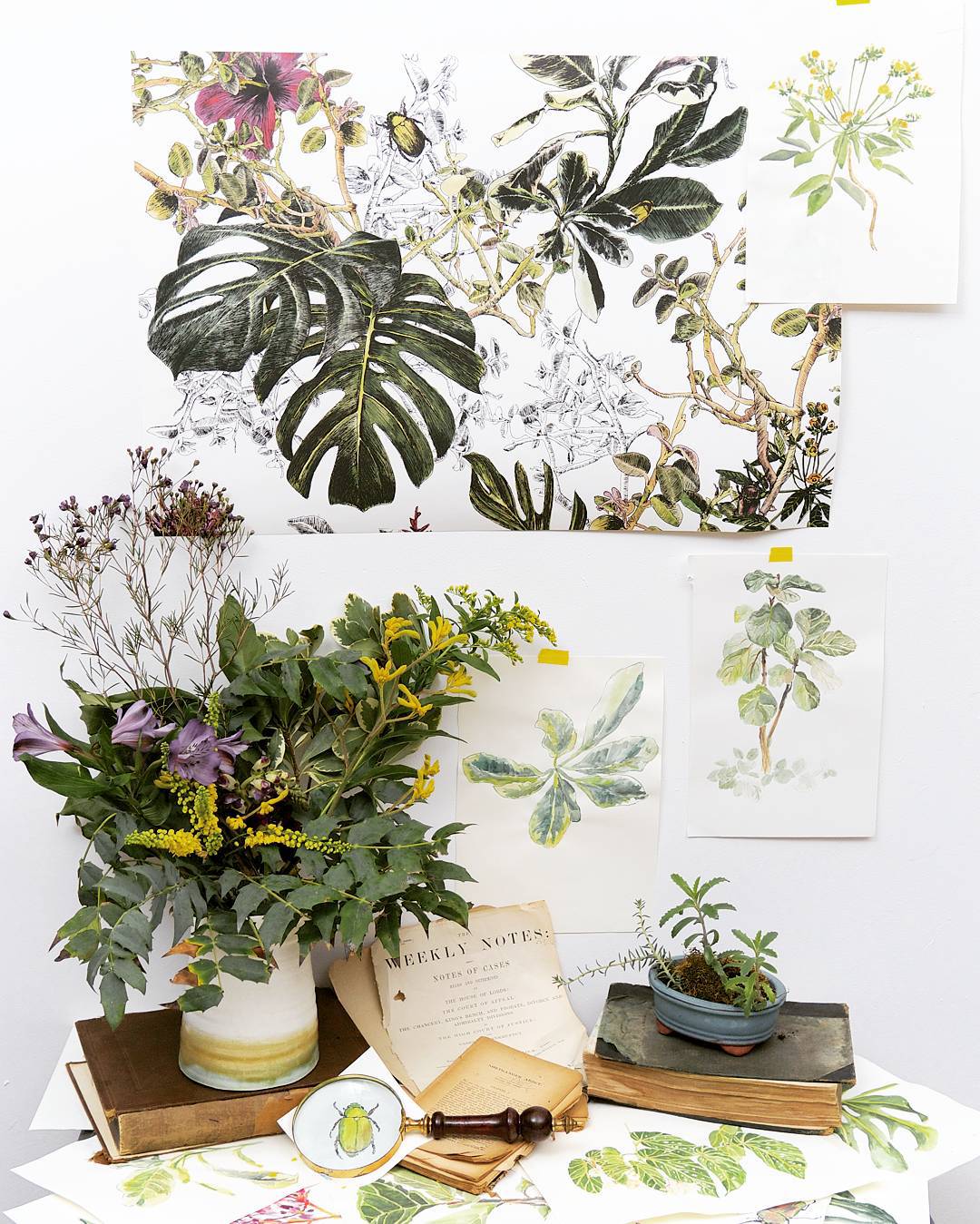 Sian Zengs Wallflowers - The Planthunter Interview