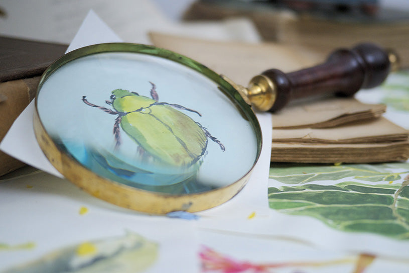 En vårförsäljning för att föryngra ditt hem