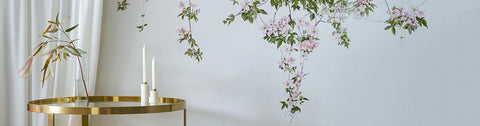 Clematis Wallpaper Sammlung