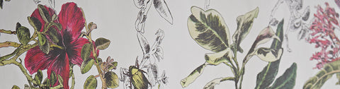 Seasons Wallpaper Sammlung