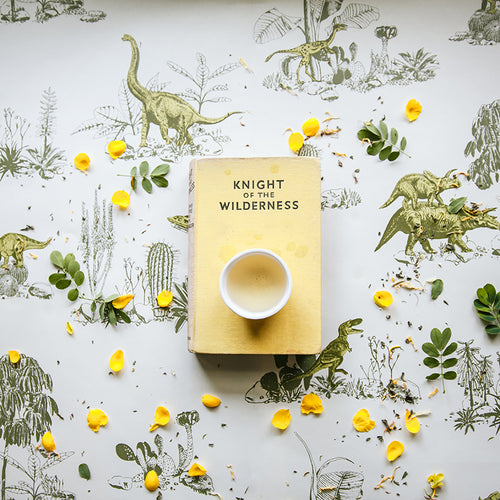 yellow and green dinosaurs magnetic wallpaper for children's rooms with boy playing explorer