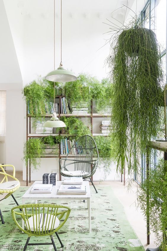 Pantone Colour Of The Year: Greenery