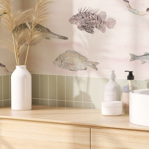 Fish Wallpaper Collection Sian Zeng