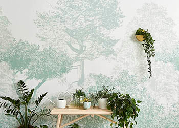 Papéis de parede de árvores de Hua