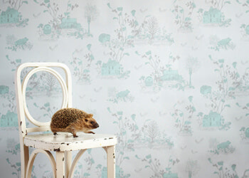 Papéis de parede de terrenos arborizados