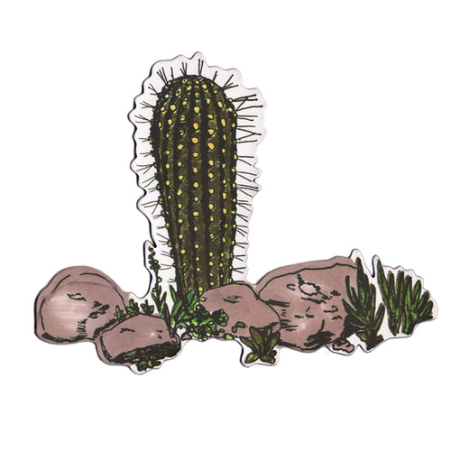 Cactus Magnet, Desert Magnet, Rocks Magnet.