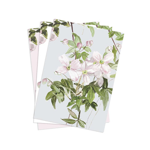 Clematis Mural Wallpaper Samples