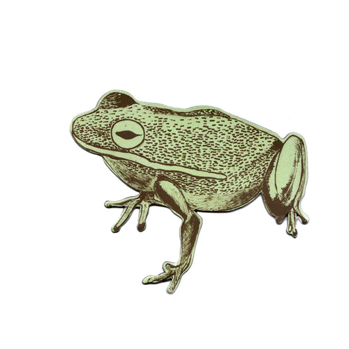 Fun Green Frog Magnet, Designer, Fridge.
