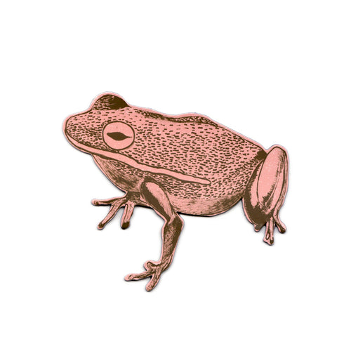 Fun Pink Frog Magnet, Designer, Fridge.