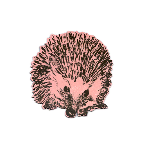 Fun Pink Round Hedgehog Magnet. Designer.