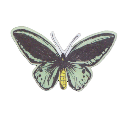 Green Butterfly Magnet