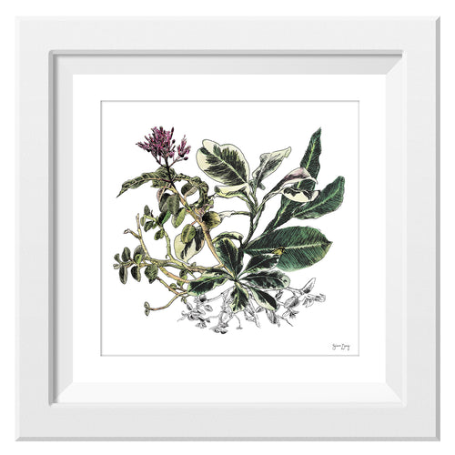 Framed print of green leaves with pink sprouts illustration