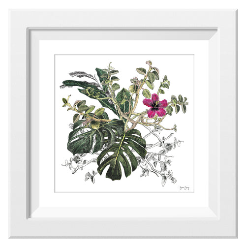 Framed print of tropical leaves and a pink flower illustration