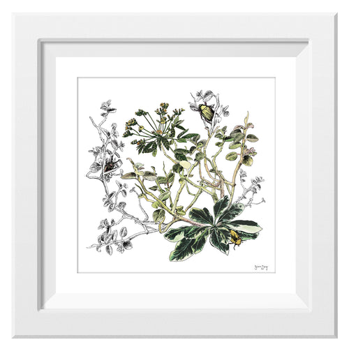 Framed print of leaves and two yellow beetles illustration