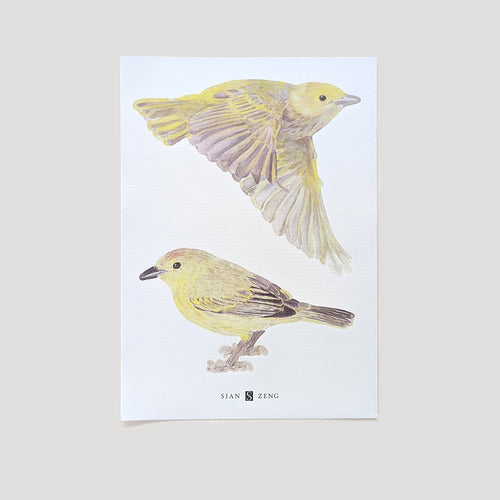 Two bird stickers on A4 page